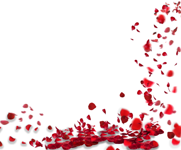 Падающие лепестки