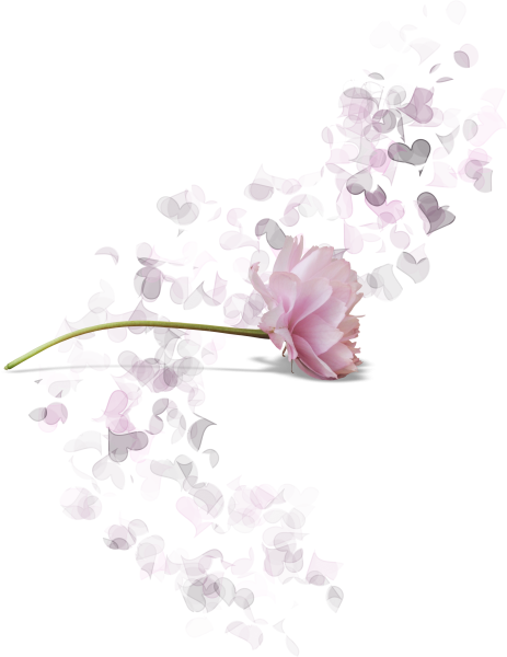 Нежные цветочки на прозрачном фоне