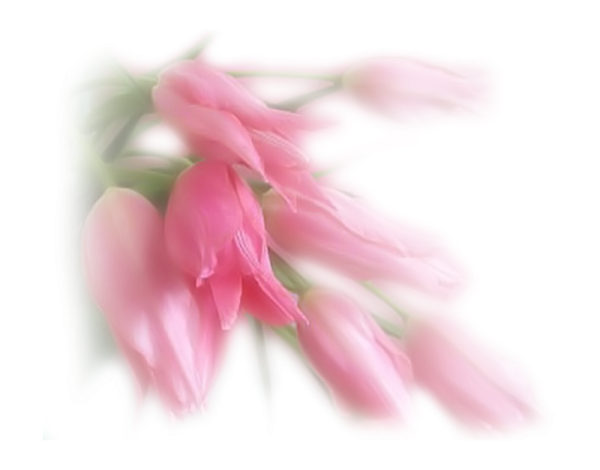 Нежность на прозрачном фоне