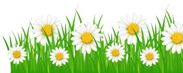 Травка с цветочками