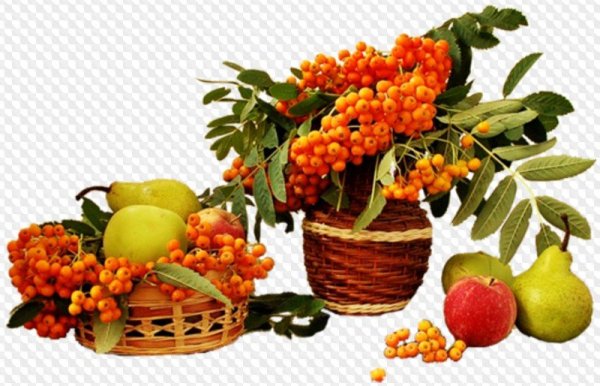 Корзинка с рябиной и цветами