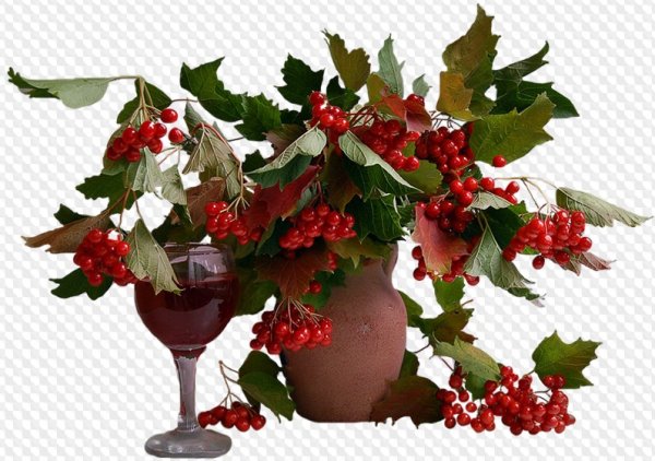 Букет рябины на прозрачном фоне