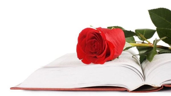 Фон с книгой и цветами