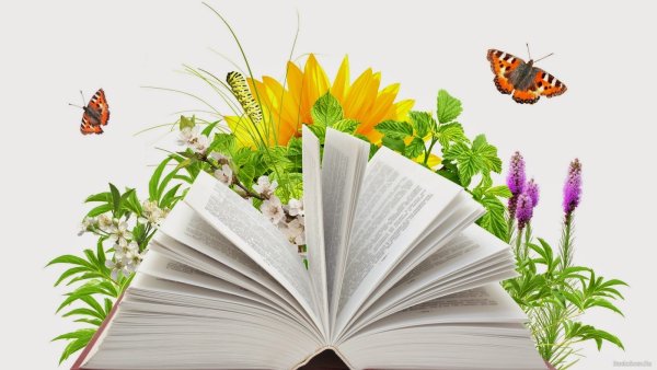 Лето с книжкой