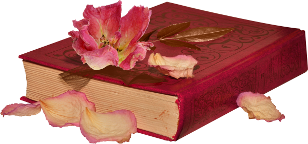 Книга на прозрачном фоне