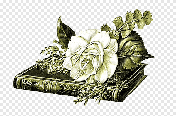 Книги с цветами на прозрачном фоне