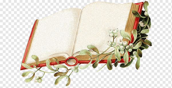 Книга на прозрачном фоне