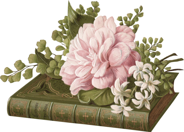 Цветы для декупажа на белом фоне