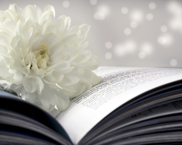 Да не отходит сия книга