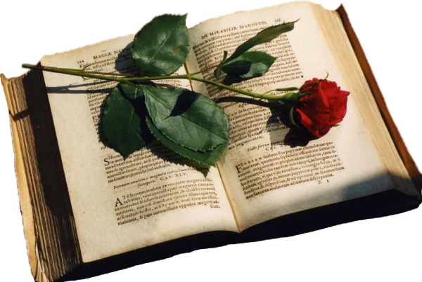 Старая книга с цветами