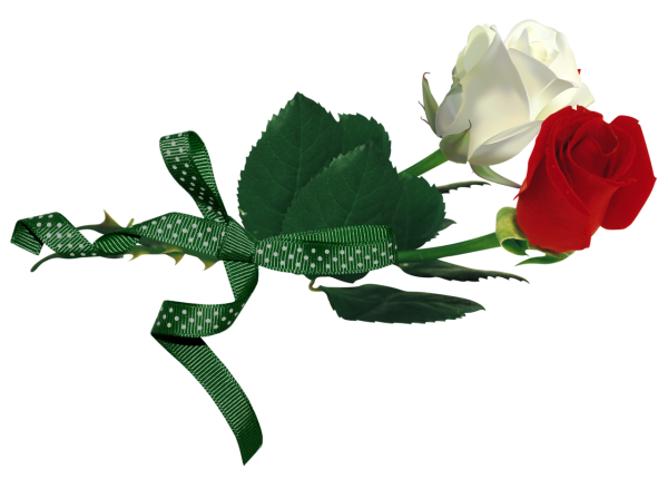 Похоронные цветы на прозрачном фоне