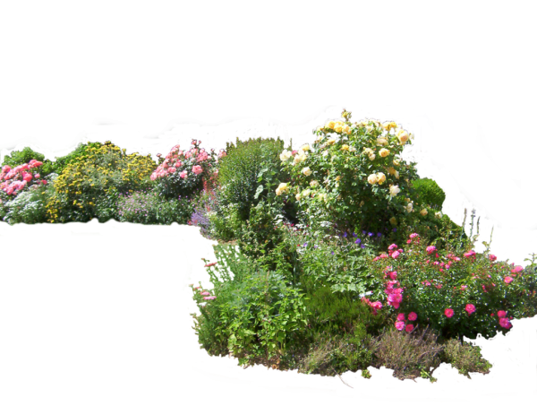 Ландшафт на белом фоне