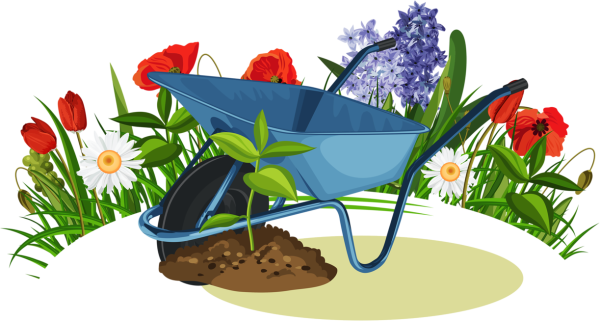 Векторный цветы для огорода