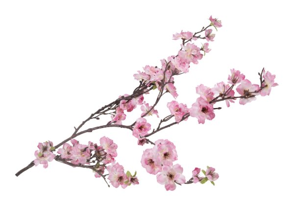 Ветка ампельная Сакура