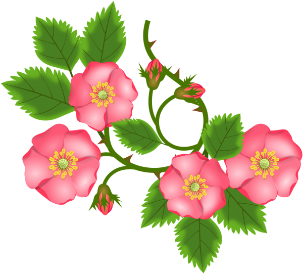 Дети и Цветущий шиповник