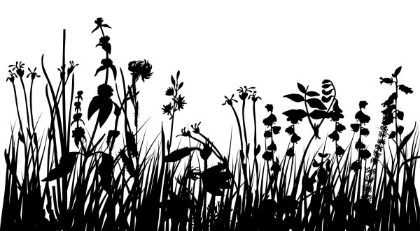 Трава вектор