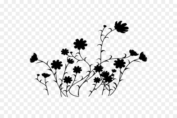 Силуэты растений на прозрачном фоне