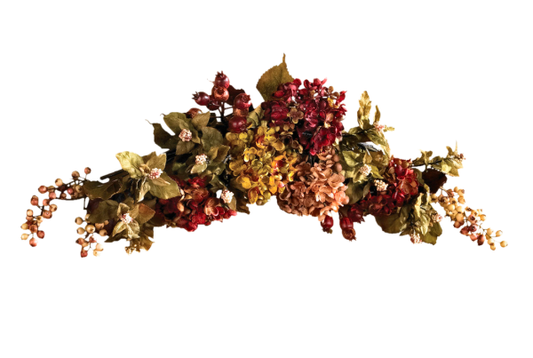 Сухие цветы на прозрачном фоне