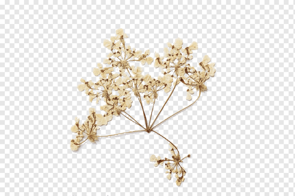 Сухие цветы наклейки