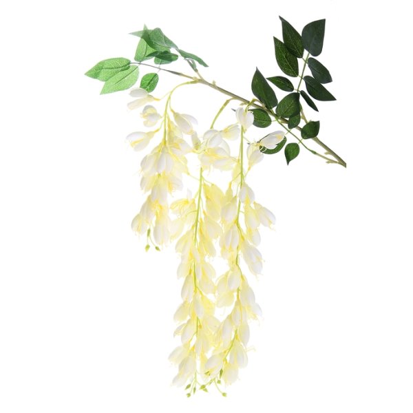 Глициния белая