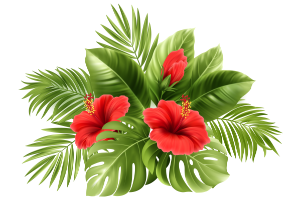 Тропические цветы