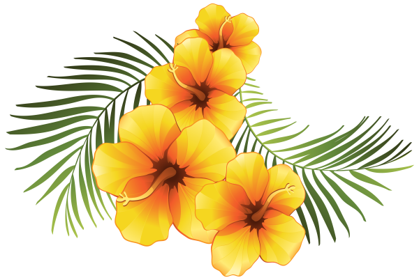 Гавайские цветы
