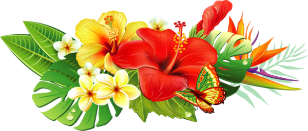Клипарты на прозрачном фоне цветы тропические