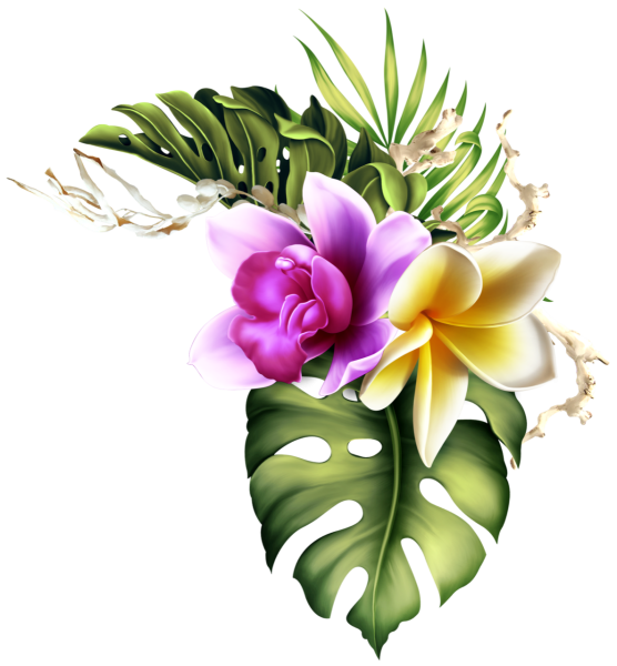 Тропические цветы