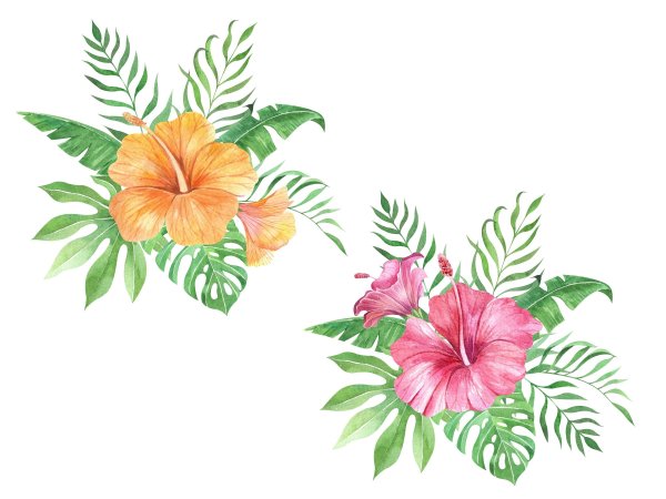 Тропические цветы