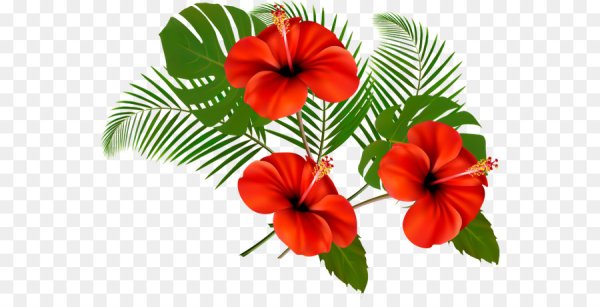 Экзотические цветы на прозрачном фоне