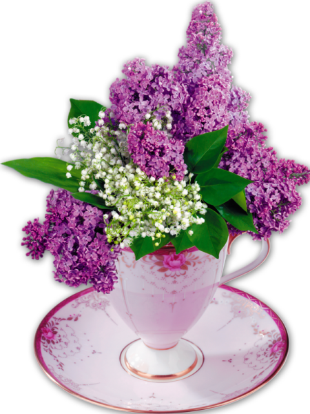 Апрельская сирень