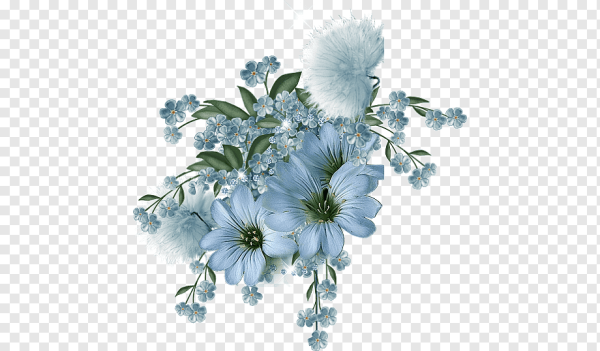 Зимние цветы на белом фоне