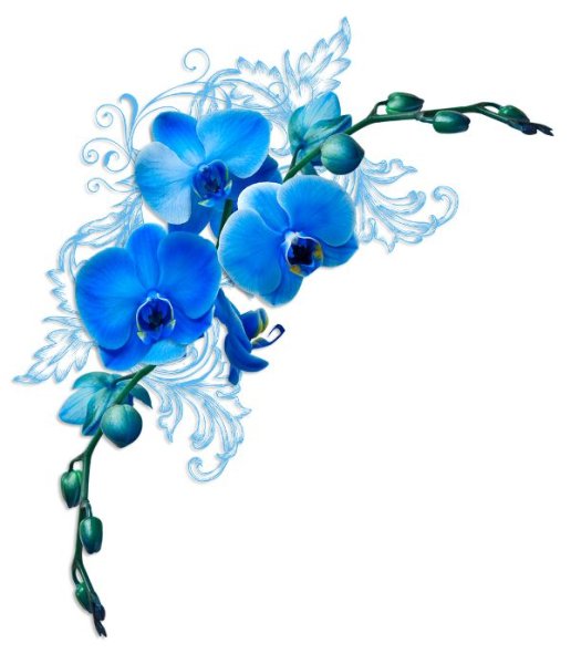 Синие угловые цветы