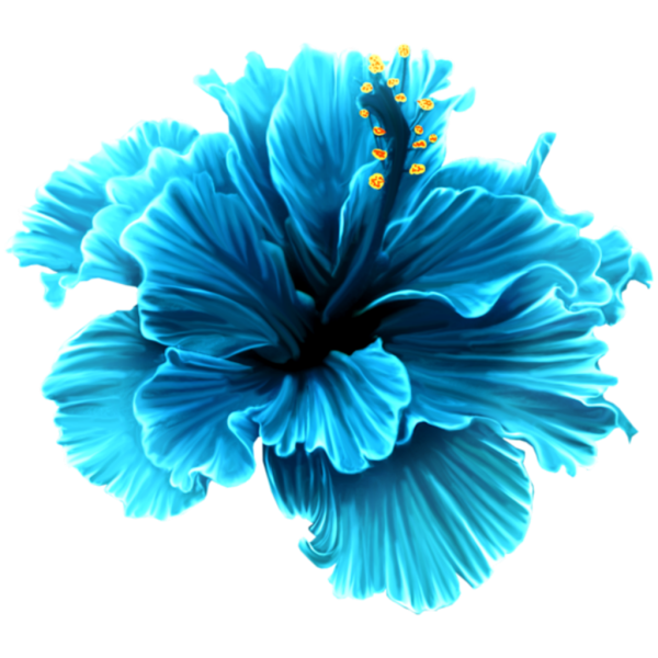 Голубые цветы на белом фоне