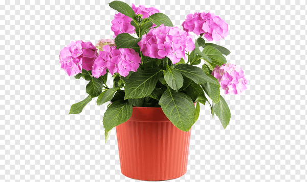 Цветы в горшках ПСД