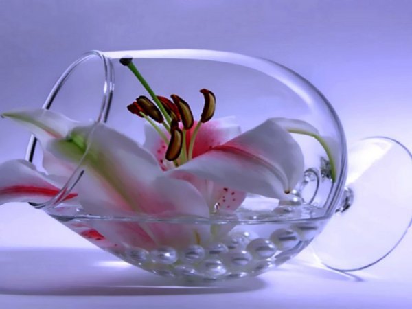 Бокал Лилия