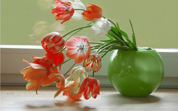 Тюльпаны в вазе