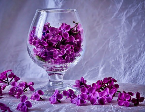 Цветы в бокале