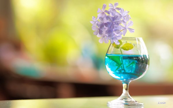 Цветы в рюмке