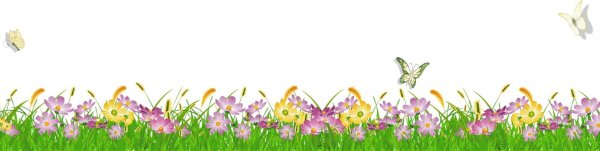 Цветочная Полянка на прозрачном фоне