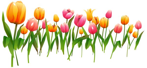 Весенний клипарт на прозрачном фоне