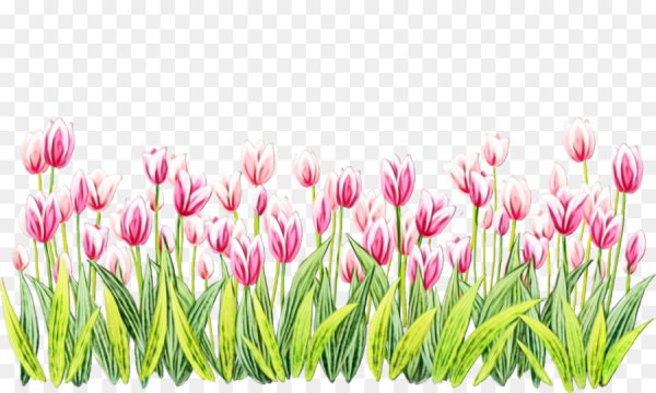 Весна цветы