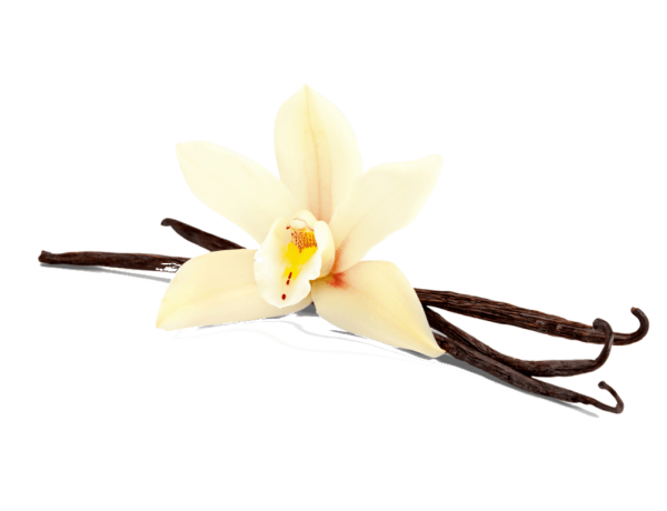 Ваниль без фона