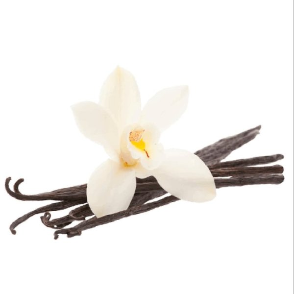 Веточка ванили