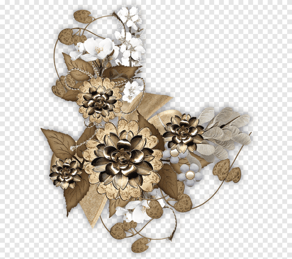 Коричневые цветы на прозрачном фоне