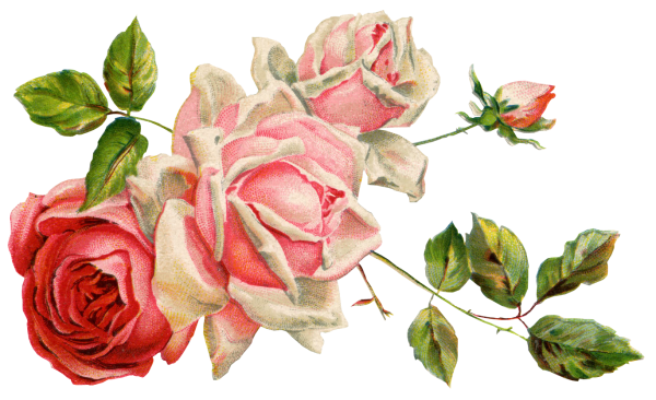 Винтажные цветы на прозрачном фоне