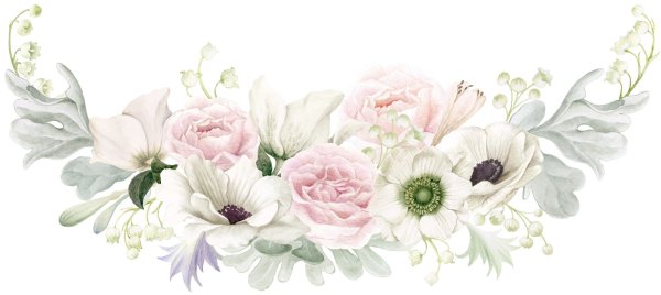 Белые Акварельные цветы