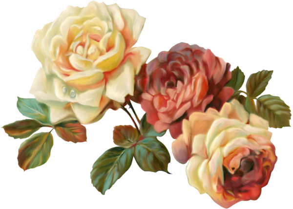 Цветы Винтаж без фона