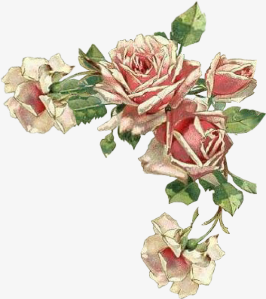 Винтаж розы углом