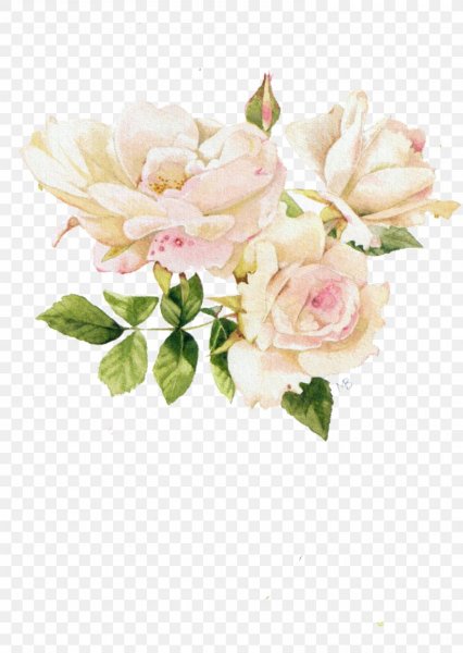 Винтажные розы на прозрачном фоне